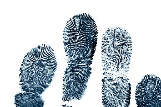 Detailed view of two visible fingerprints, showcasing intricate patterns and texture, isolated on a dark surface.