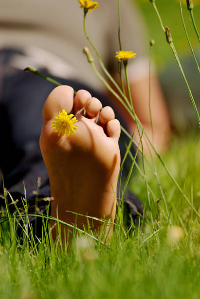 훌륭한 태양 - sole of foot human foot women humor 뉴스 사진 이미지