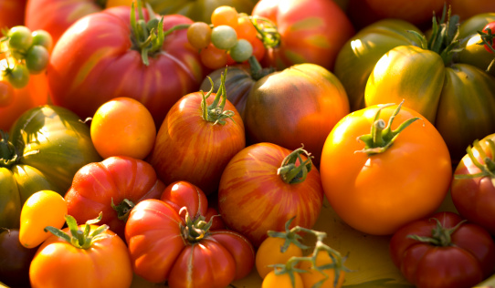 Different sorts of tomatoes as background, top view