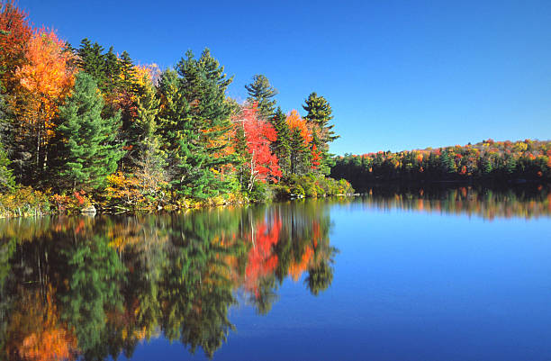 otoño vista panorámica - berkshire hills fotografías e imágenes de stock