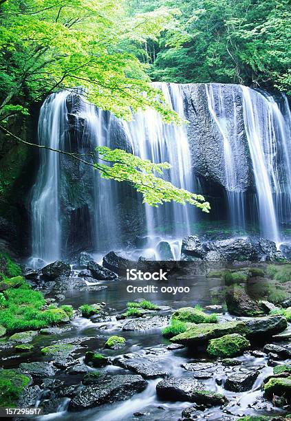 Cascata Giapponese - Fotografie stock e altre immagini di Acqua - Acqua, Acqua fluente, Albero
