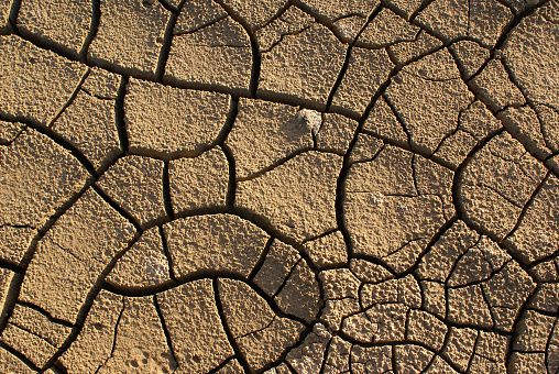 Cracked earth texture. Ground