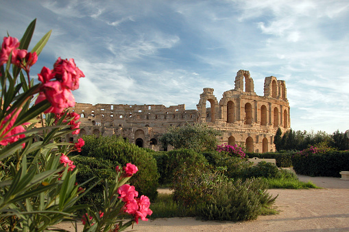 Photo of the El Djem Coliseum in Tunisia. The picture was taken during a cloudy but sunny day. The Coliseum is in the background of the image. Some flowers and bushes are found through the sand around the Coliseum. Some pink flours are in the foreground of the image. 