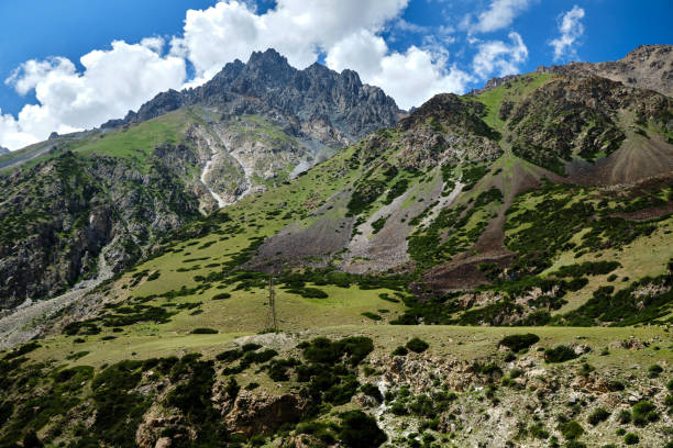 istock High angle view of valley in Tien Shan mountains 1572957512