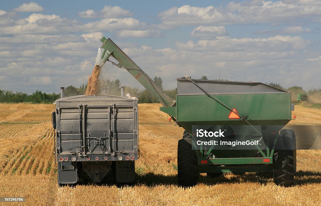 Harvest - Foto stock royalty-free di Trasporto-merci