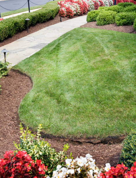 Green Lawn Modern Luxury Home Suburbia
