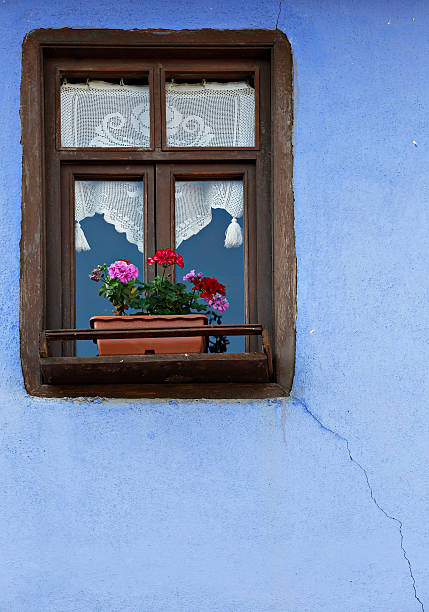 Two wooden windows on the wall of an old house in Jermenovci, Banat