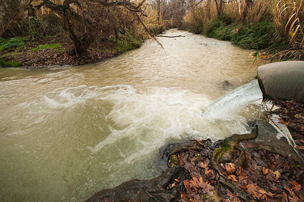 istock stream water in Israel banias river 157301098