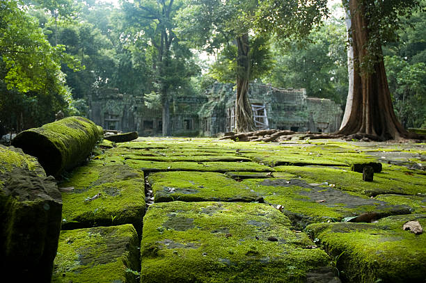 vecchio tempio rovine nella giungla nei pressi di angkor wat, cambogia - angkor wat buddhism cambodia tourism foto e immagini stock
