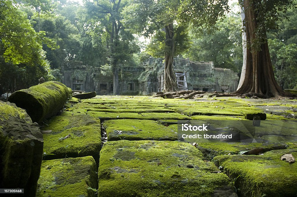 Stare ruiny świątyni w dżungli w pobliżu Angkor Wat, Kambodża - Zbiór zdjęć royalty-free (Świątynia)