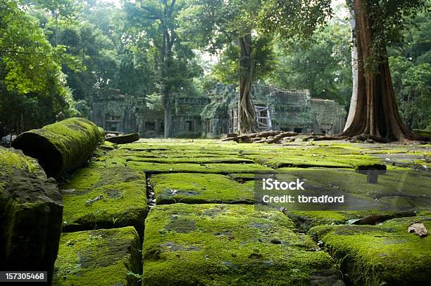 Stare Ruiny Świątyni W Dżungli W Pobliżu Angkor Wat Kambodża - zdjęcia stockowe i więcej obrazów Świątynia