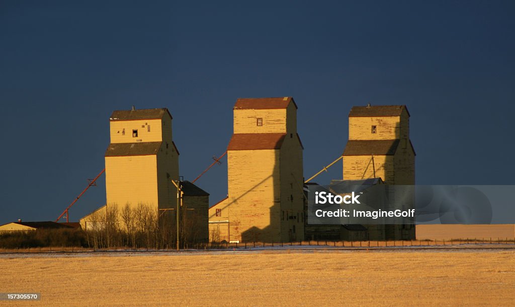 Três Prairie grãos elevadores - Foto de stock de Horizontal royalty-free