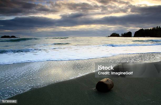 Driftwood En La Playa Cerca De Tofino Columbia Británica Foto de stock y más banco de imágenes de Agua