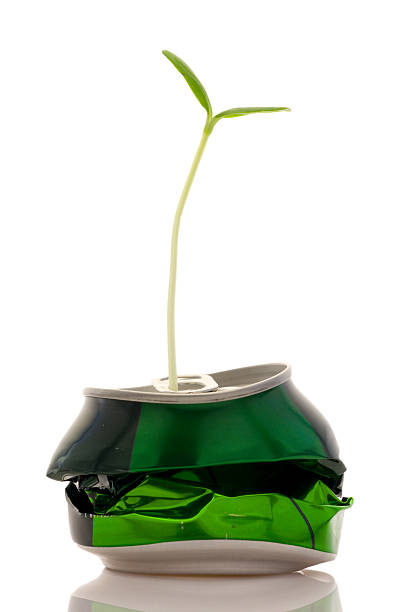 Crushed can with sprout growing out of spout 