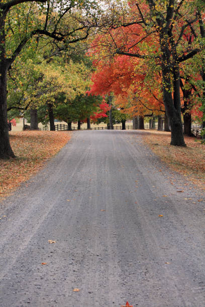 istock Long Country Lane in Autumn 157305674