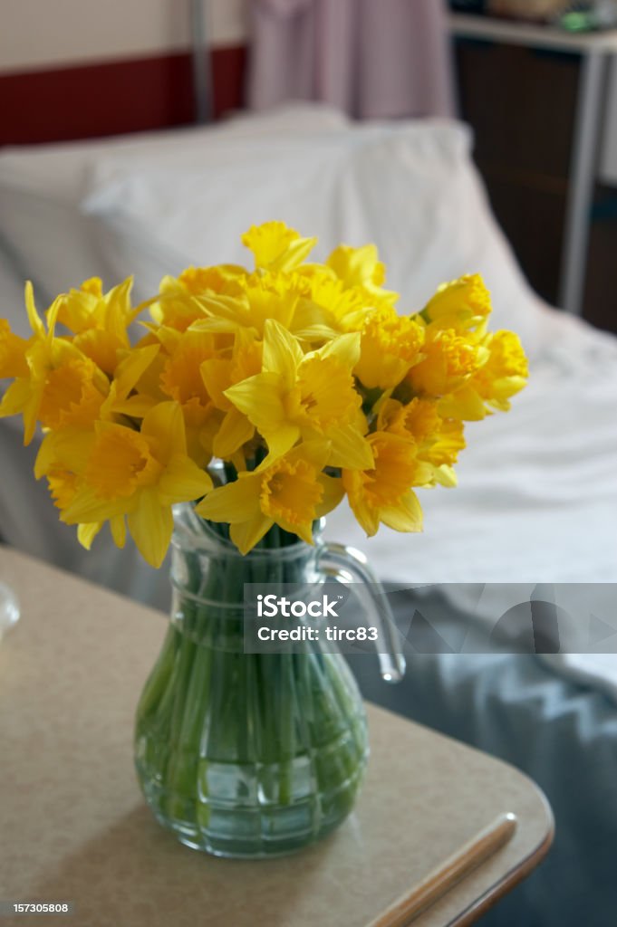 Daffodil blooms in hospital ward Daffodil blooms in a jug of water Flower Stock Photo