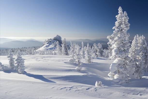 Winter park with snow with clear sky Siberian mounts. Cold winter. Sheregesh. Sheregesh stock pictures, royalty-free photos & images