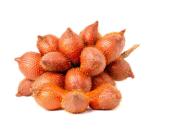 istock zalacca fruit tastes sweet and sour. 1573061706