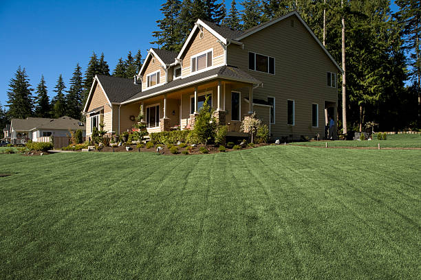 istock New Luxury home with lush landscaping 157306317