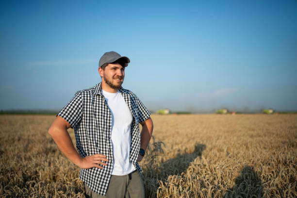 istock Smiling farmer on the wheat field on harvest. 1573070447