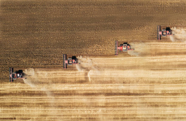 istock Aerial view of combine harvesters in a row. 1573070471