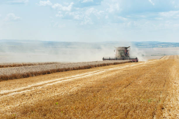 istock Harvesting wheat with agricultural machinery. 1573070994
