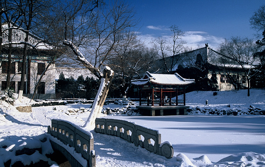 Many skis and ski poles of vacationing tourists are laid on the slope of a snowy mountain for downhill skiing near a resting place