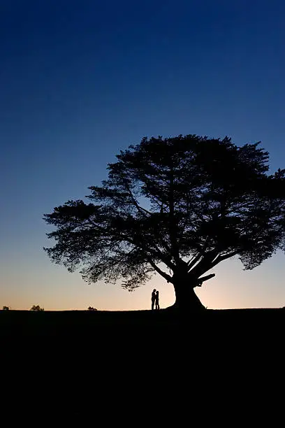 Beautiful Silhouette of Man and woman under an Oak tree, at sunset.