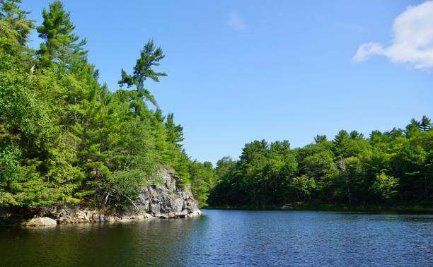 istock The Massasauga Provincial Park, Ontario 1573074154
