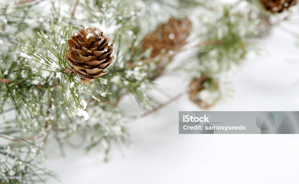 Escena de invierno - Foto de stock de Aire libre libre de derechos