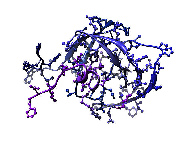 A ball and stick + ribbons model of HIV protease - an enzyme that is the target of much AIDS and HIV research.
