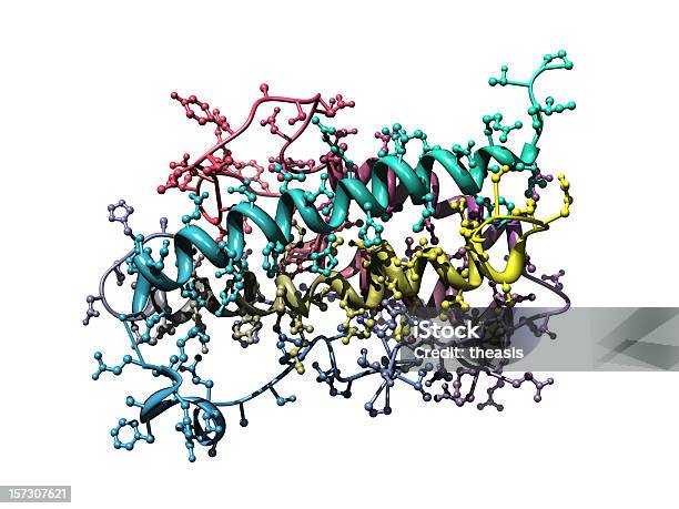 Modello Di Somatropina - Fotografie stock e altre immagini di Proteina - Proteina, Molecola, Enzima