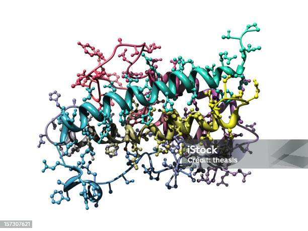 모델 인체생장호르몬 단백질에 대한 스톡 사진 및 기타 이미지 - 단백질, 분자, 효소