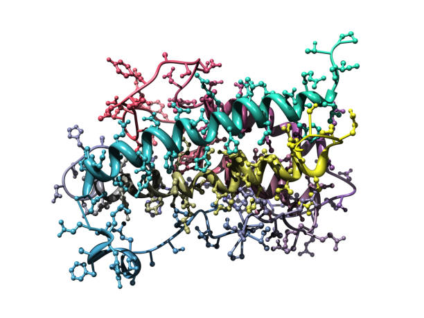 A ball and stick + ribbons model of Human Growth Hormone, also known as Somatotropin.