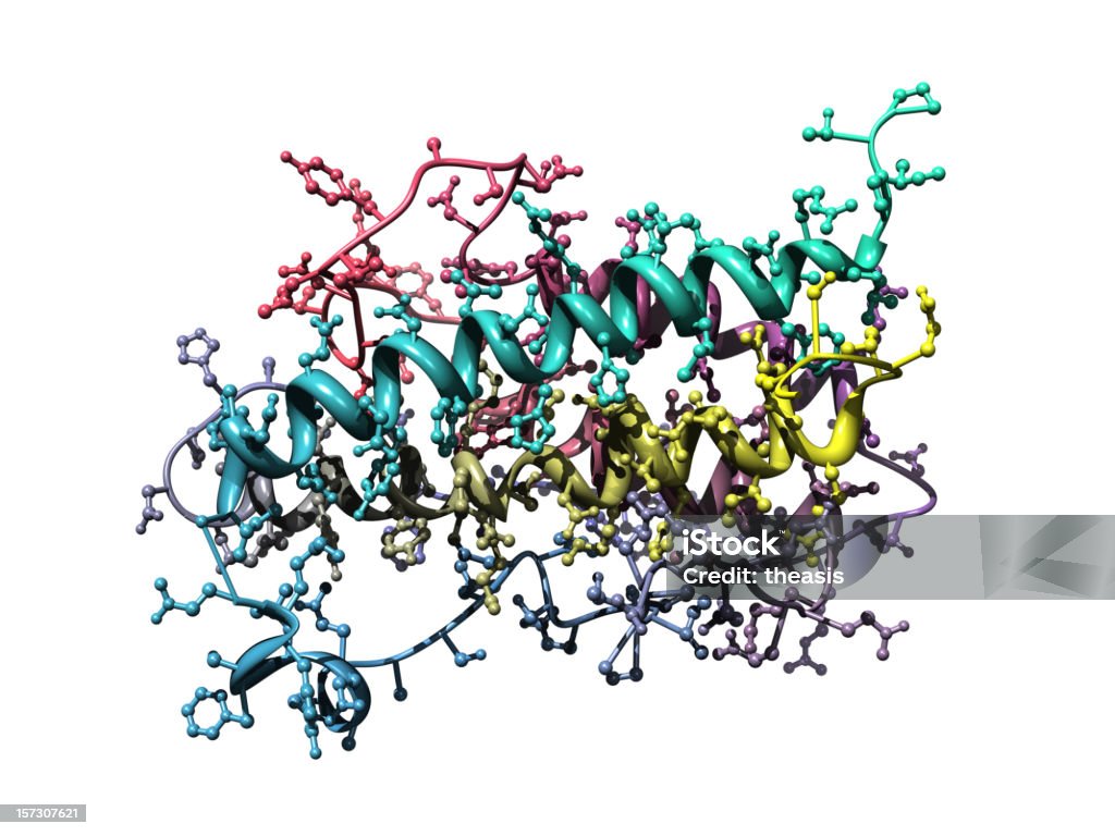 Model of Human Growth Hormone A ball and stick + ribbons model of Human Growth Hormone, also known as Somatotropin. Protein Stock Photo