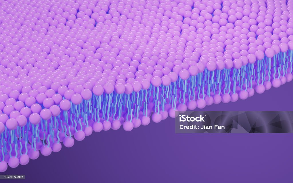 Cell Membrane Structure Background 3d Rendering Stock Photo - Download