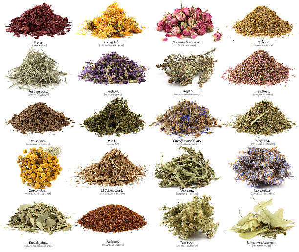 fiori secco e herbs.xxxl. - chamomile herbal tea chamomile plant tea foto e immagini stock