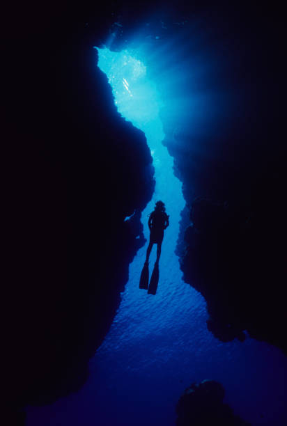 frau in cave - deep sea diving stock-fotos und bilder