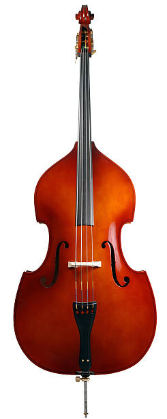 Isolated Double Bass - Full Vertical Full Double bass isolated on white. bass instrument photos stock pictures, royalty-free photos & images