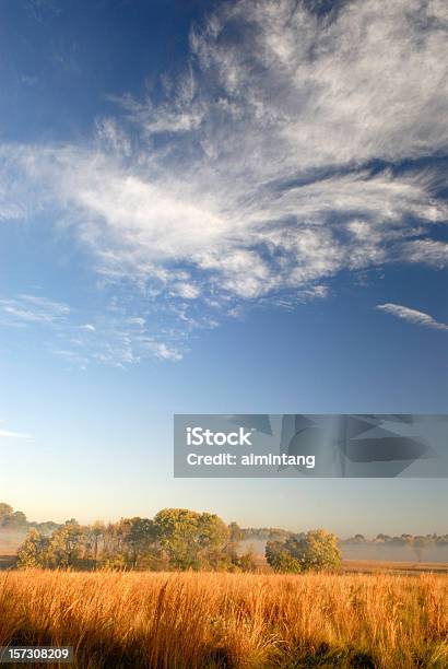 Niebo Na Jasny Jesień Dzień - zdjęcia stockowe i więcej obrazów Chmura - Chmura, Drzewo, Fotografika