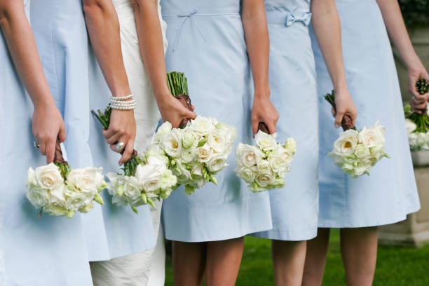 Vestidos De Dama De Honor De Primavera - Banco de fotos e imágenes de stock - iStock Vestidos De Dama De Honor De Primavera - Banco de fotos e imágenes de stock - iStock