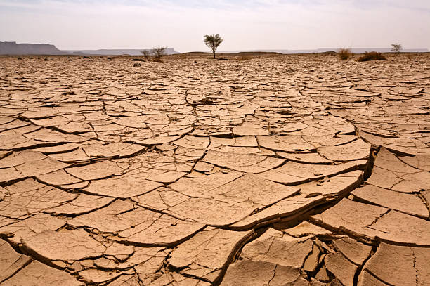 libyen - global warming cracked dirt earth стоковые фото и изображения