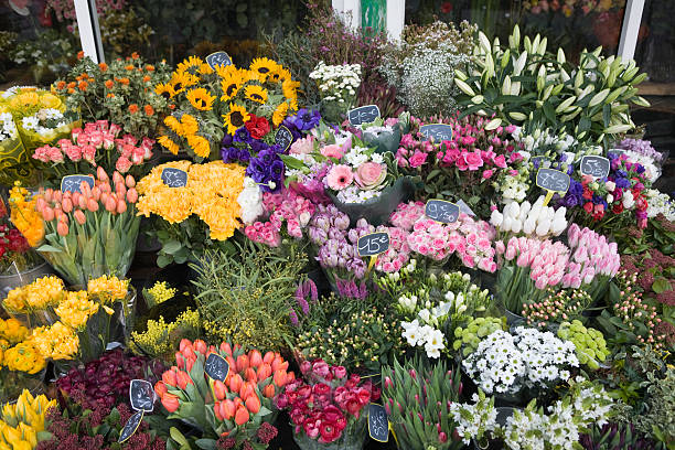 outdoor blumenmarkt in paris, frankreich - rose flower shop variation color image stock-fotos und bilder