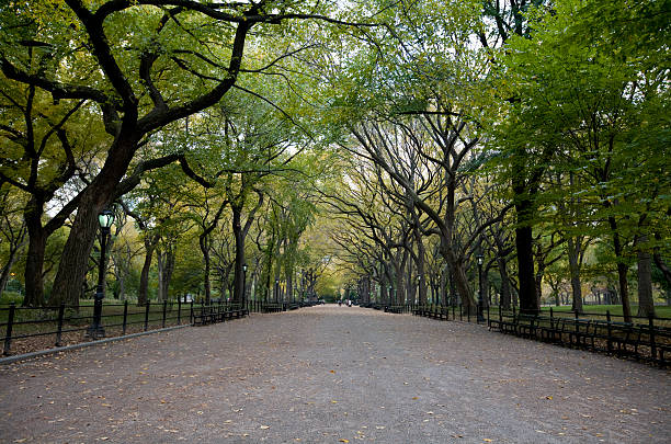 The Mall at Central Park in New York City "The Mall" without any tourists at Central Park in New York City.  central park manhattan stock pictures, royalty-free photos & images