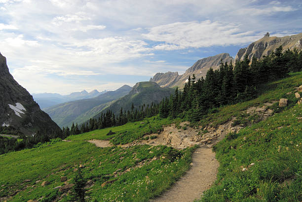 istock Hiking Trail at Glacier National Park 157309289