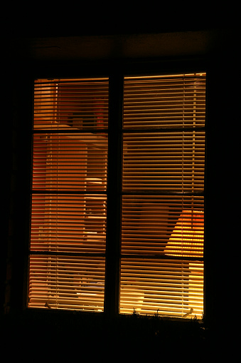 Outside looking in to home office through screen and venetian blinds. Lamp and shelving seen through window.