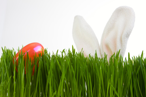 Closeup of a generic Easter Egg Hunt sign with candy eggs on faux grass symbolizing an Easter Egg Hunt at Easter.