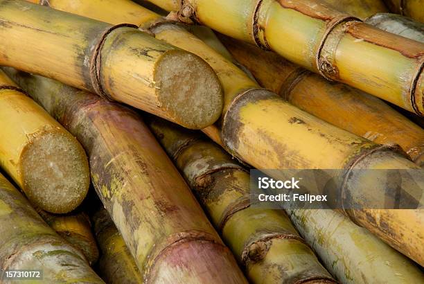 Trzcina Cukrowa Sticks 02 - zdjęcia stockowe i więcej obrazów Trzcina cukrowa - Trzcina cukrowa, Rum, Rolnictwo