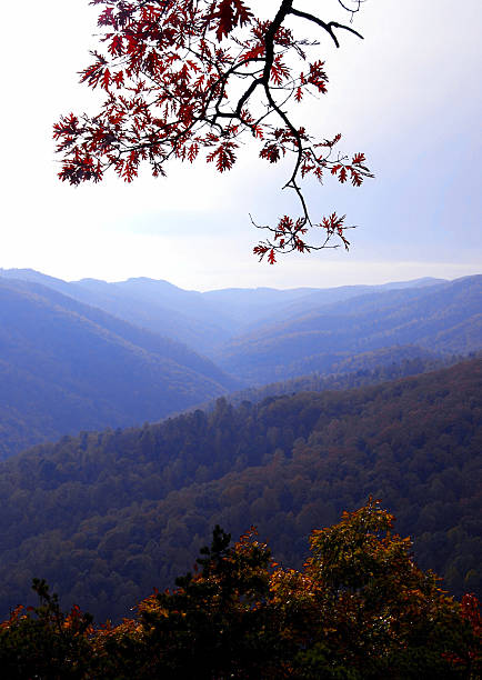 monti blue ridge, virginia - blue ridge mountains appalachian mountains appalachian trail skyline drive foto e immagini stock