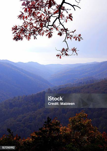 Blue Ridge Mountains W Stanie Wirginia - zdjęcia stockowe i więcej obrazów Szlak Appalachów - Szlak Appalachów, Chmura, Drzewo